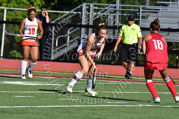SVL_fh_41
