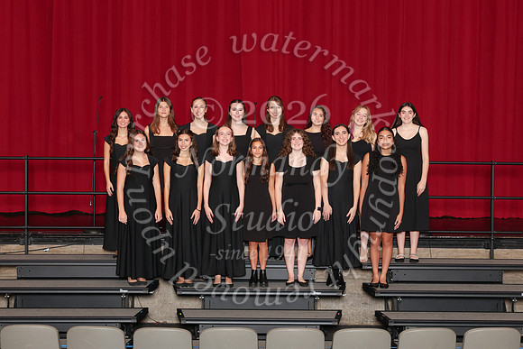 CHS_gala_groups_21