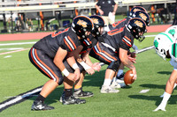 SVL_fb_013