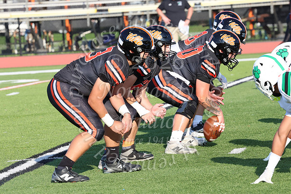 SVL_fb_013