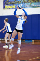 CHS_vb_g_-7