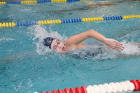 WMC_018_sw-g