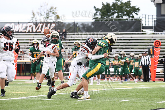 SVL_fb_jv-53