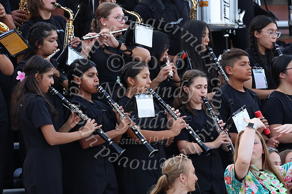 SVL_mb_in_stands_32