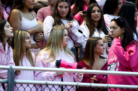 MAT_fb_fans_2_19