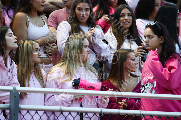 MAT_fb_fans_2_19