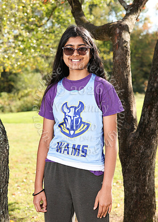 WAM_cc_g_ind-6