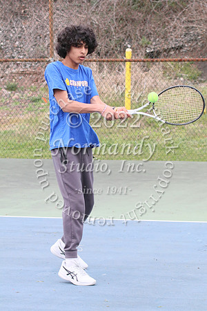 CHS_011_tn