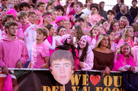 DVH_fans_04