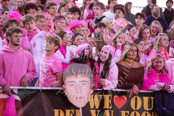 DVH_fans_04