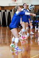 WHS_vb_g_-20