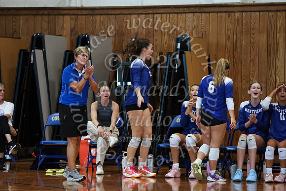 WHS_vb_g_-75