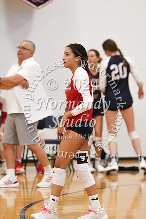 MSM_vb-g_49