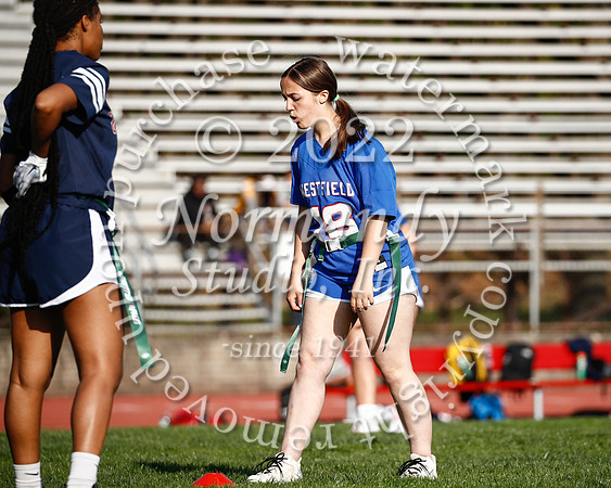 WHS_flag_fb_45