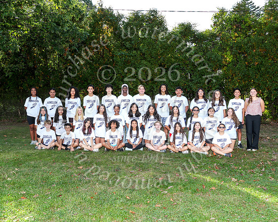 LMS_cc-t_01
