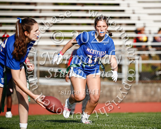 WHS_flag_fb_41