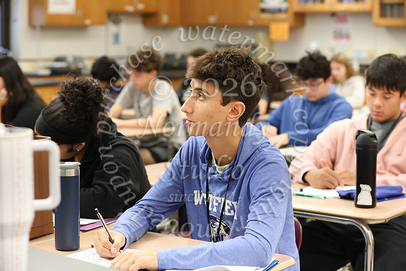 WHS_moleday-SLC-18