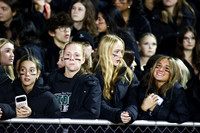 RDG_fb_fans_10