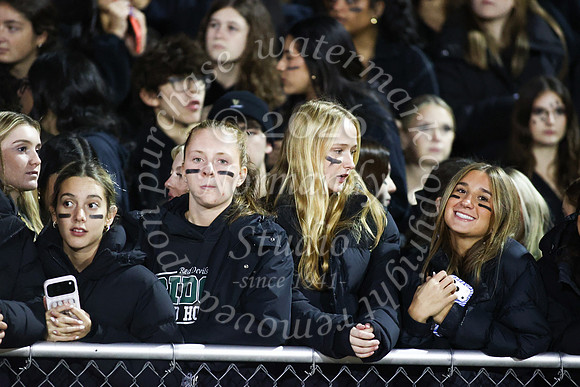 RDG_fb_fans_10