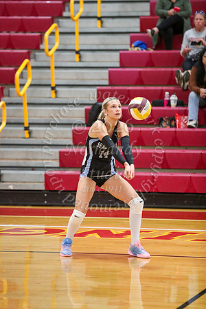 IMC_vb-g_16