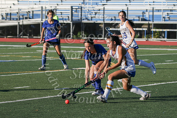 CHS_fh_11