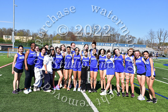 WHS_tr-g_02