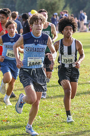 ALJ_cc-b_31