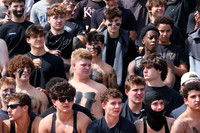 SHP_fans_15