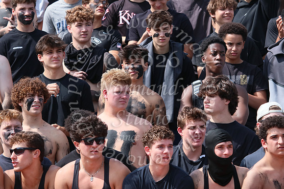 SHP_fans_15