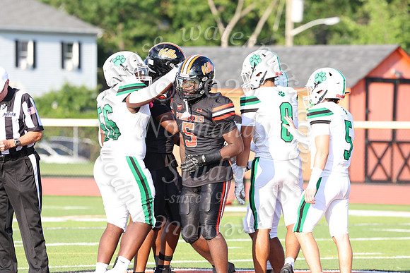 SVL_fb_002