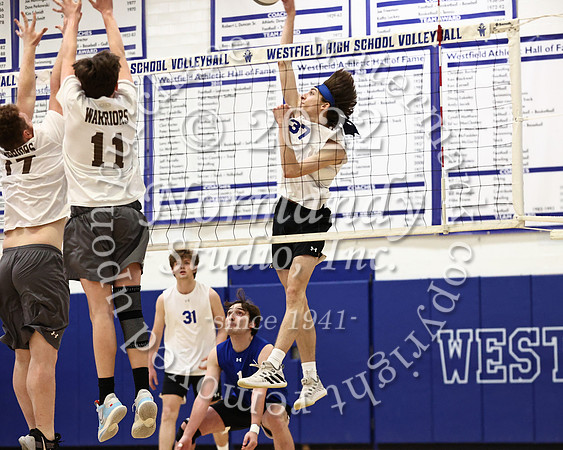 WHS_vb_b_v_28