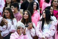 MAT_fb_fans_2_10