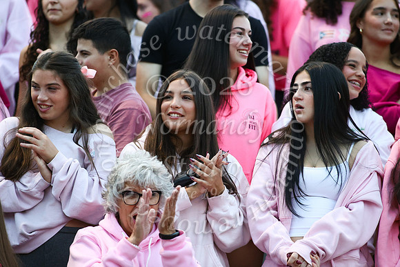 MAT_fb_fans_2_10