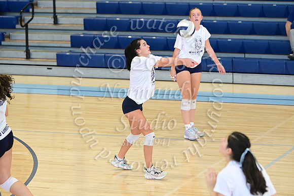 WMC_vb-g_22