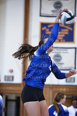 WHS_vb_g_-17