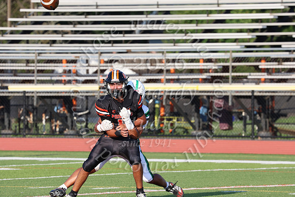SVL_fb_065