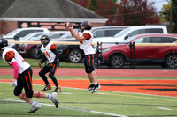SVL_fb-f_17