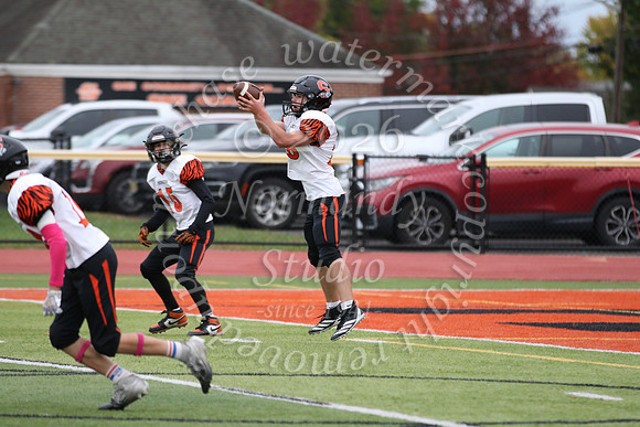SVL_fb-f_17