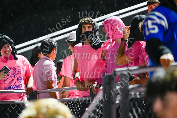 SPF_fans_24
