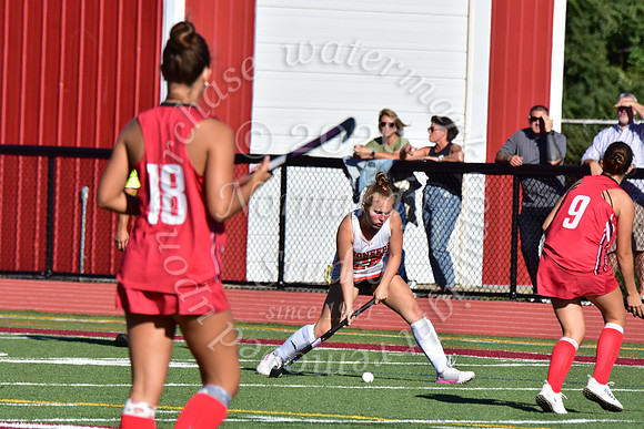 SVL_fh_38
