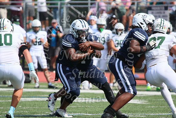 SHP_fb-v_29