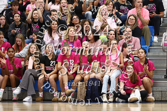 WHS_vb-pink out_49