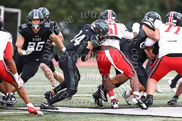RDG_fb_33