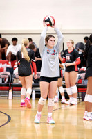 HCH_vb_g_-1