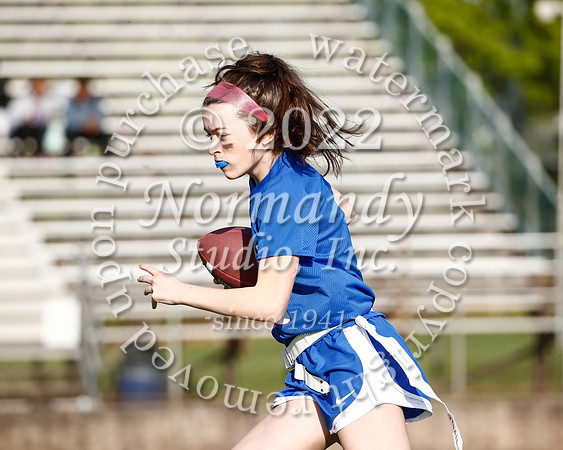 WHS_flag_fb_59