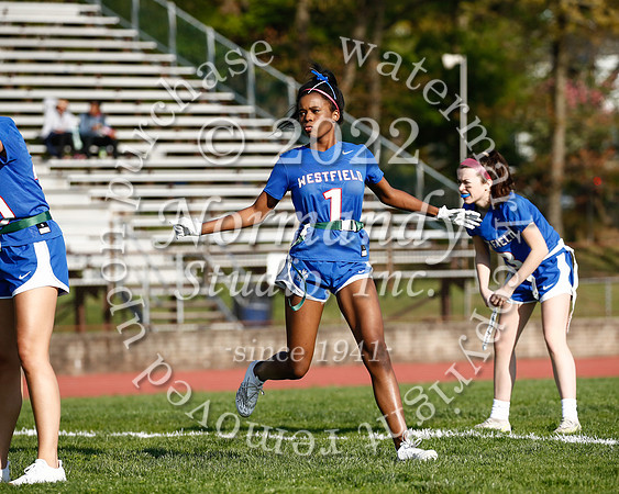 WHS_flag_fb_51