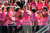 SPF_fans_14