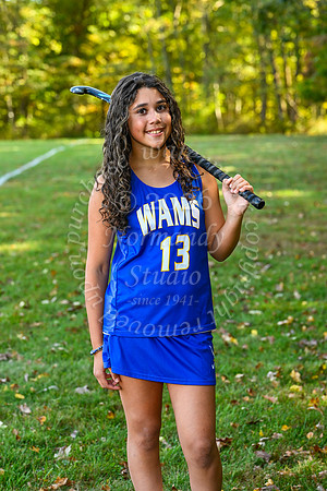 WAM_fh-ind_06