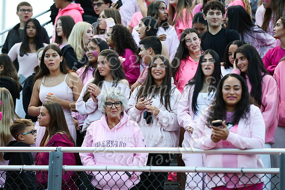MAT_fb_fans_2_33