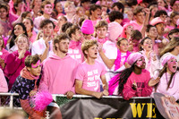 DVH_fans_15